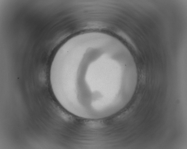 X0000081370874200702082343