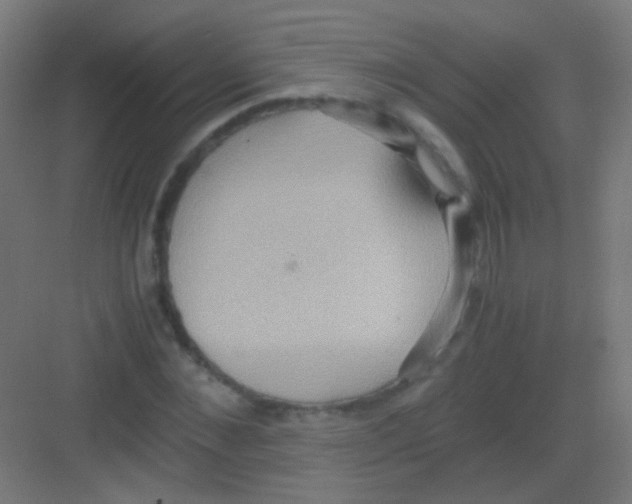 X0000081370876200702082343