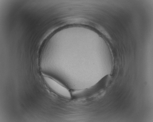 X0000081370877200702082343