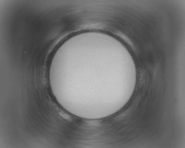 X0000081370878200702082343