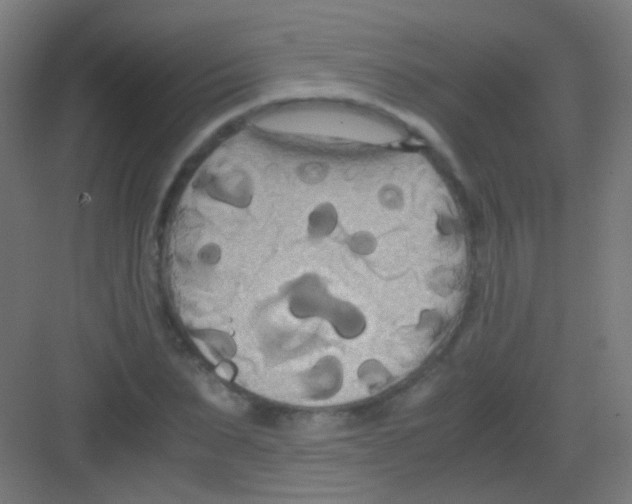 X0000081370879200702082343