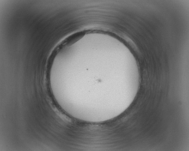 X0000081370880200702082343