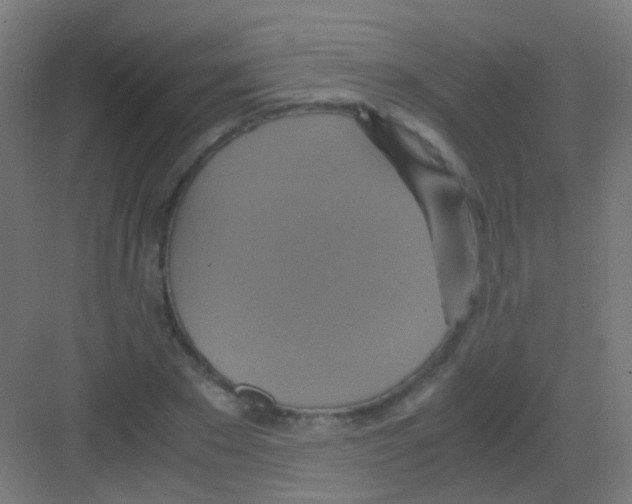 X0000081370881200702082343