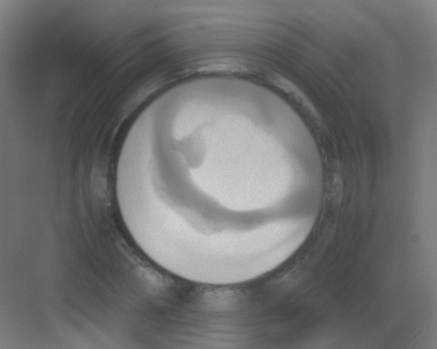 X0000081370882200702082343