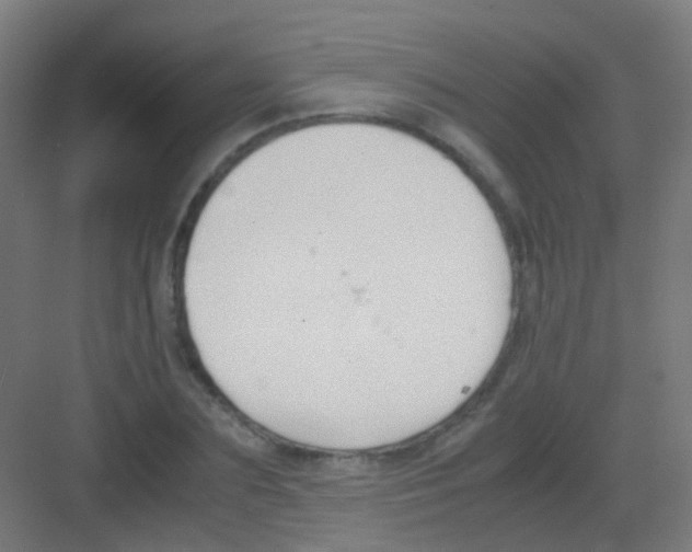 X0000081370883200702082343