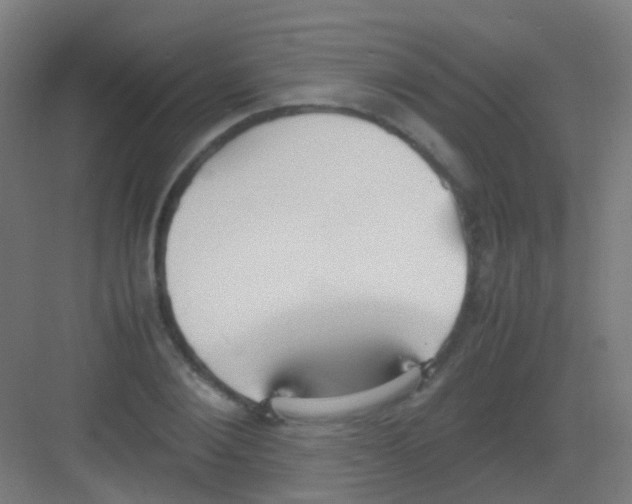 X0000081370884200702082343