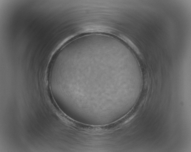 X0000081370885200702082343