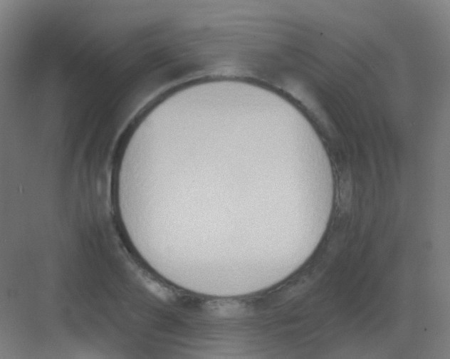 X0000081370886200702082343