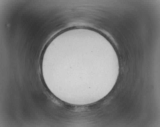 X0000081370887200702082343