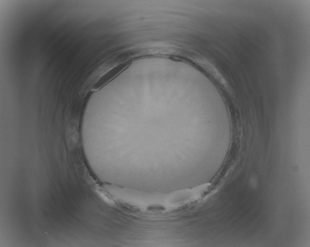 X0000081370889200702082343