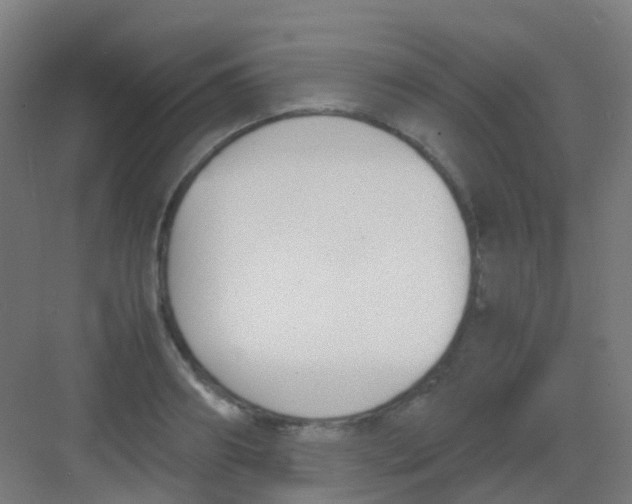 X0000081370890200702082343