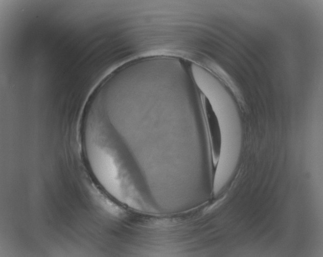 X0000081370892200702082343