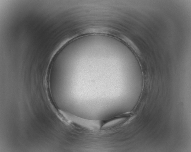 X0000081370893200702082343