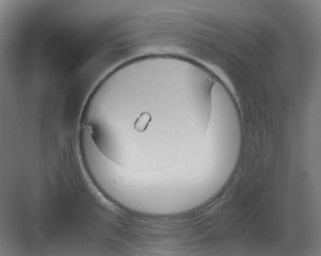 X0000081370895200702082343