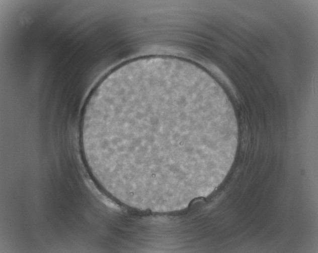 X0000081370896200702082343