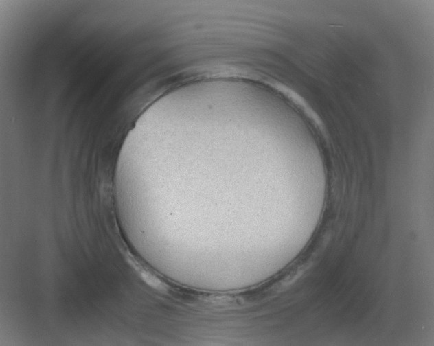 X0000081370897200702082343