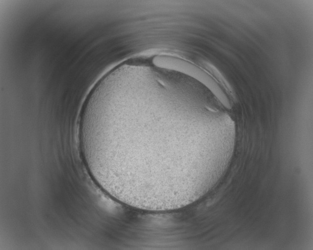 X0000081370900200702082343