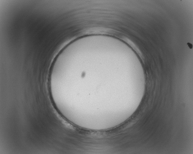 X0000081370901200702082343