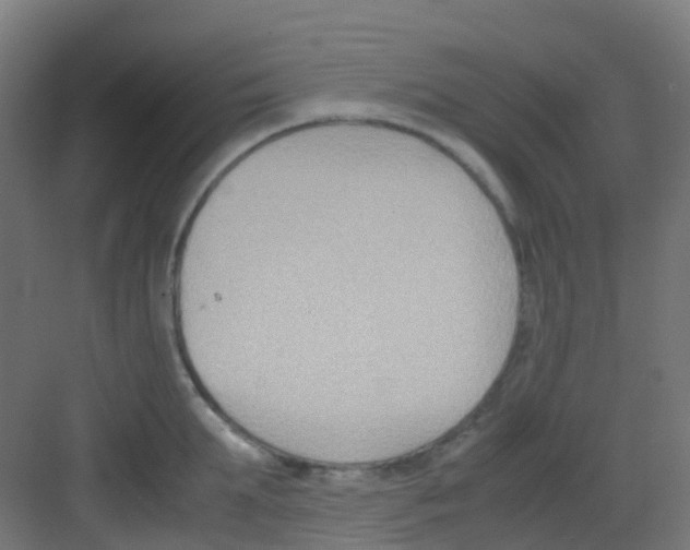 X0000081370903200702082343