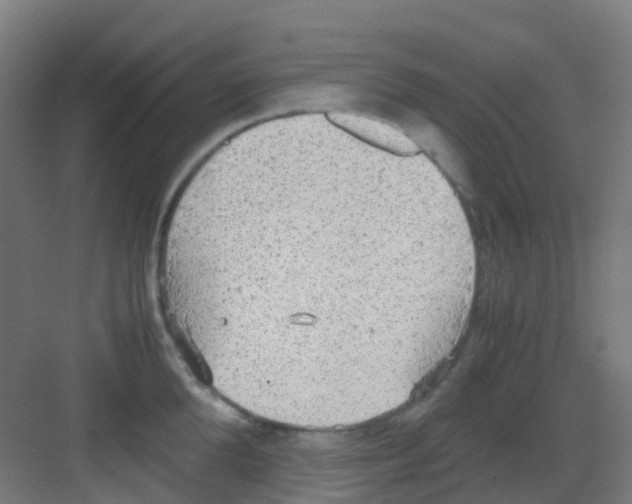 X0000081370904200702082343