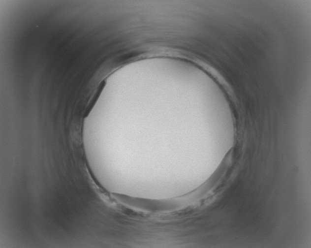 X0000081370905200702082343