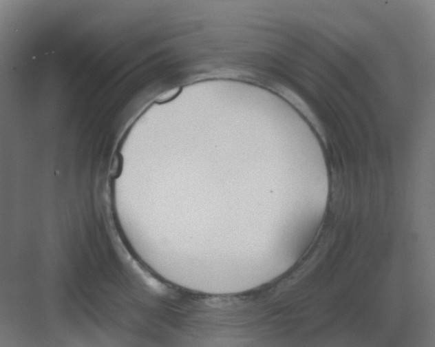 X0000081370906200702082343