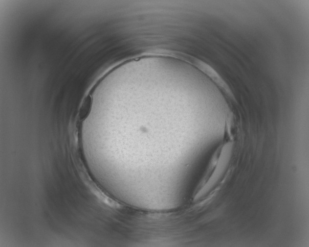 X0000081370908200702082343