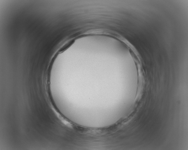 X0000081370909200702082343