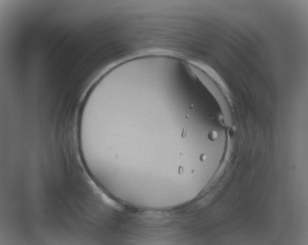 X0000081370910200702082343