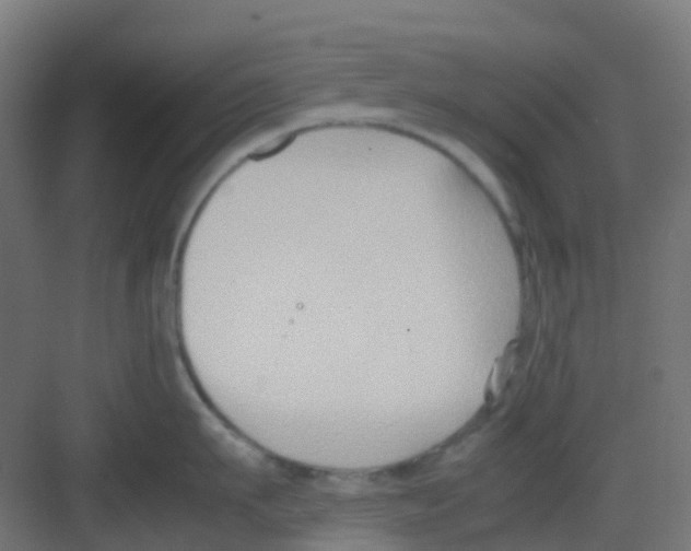 X0000081370911200702082343