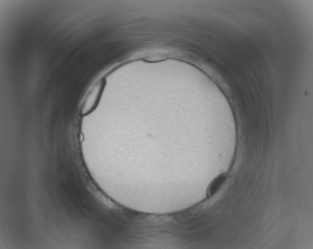 X0000081370912200702082343