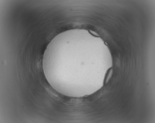 X0000081370914200702082342