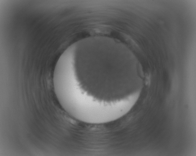 X0000081370915200702082342