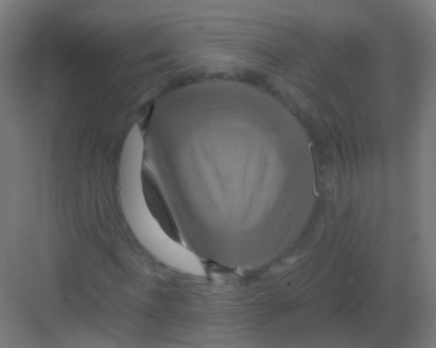 X0000081370916200702082342