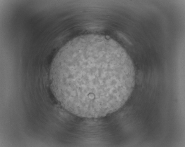 X0000081370917200702082342