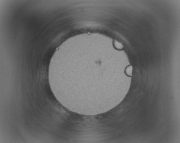 X0000081370918200702082342