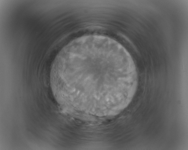 X0000081370919200702082342