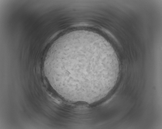 X0000081370921200702082342