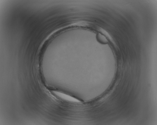 X0000081370923200702082342