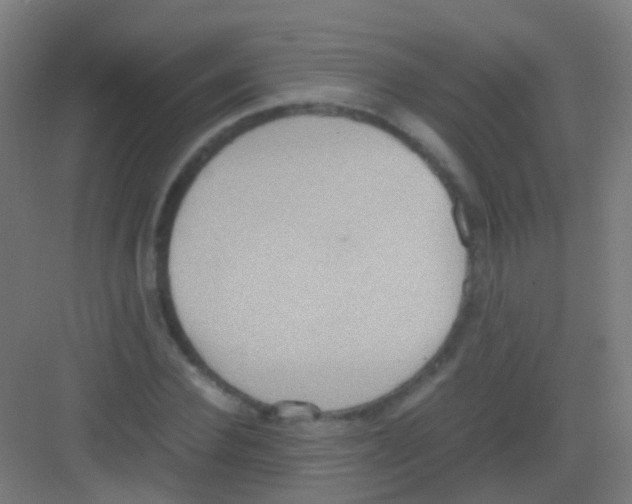 X0000081370924200702082342