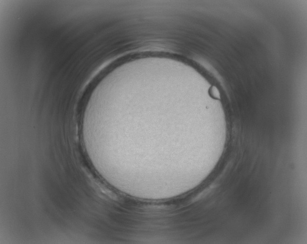 X0000081370925200702082342