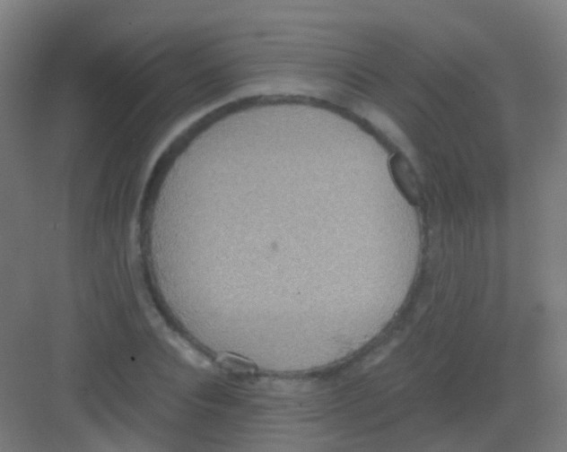 X0000081370928200702082342