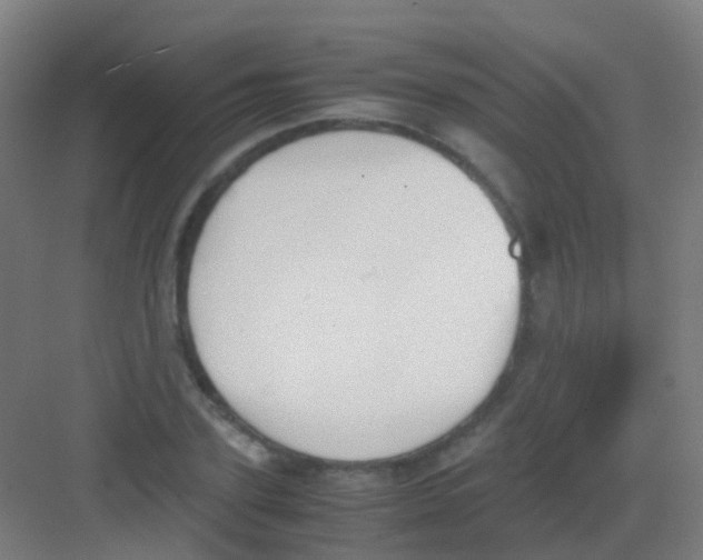 X0000081370931200702082342