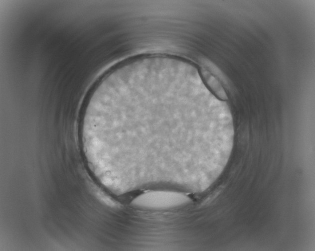 X0000081370932200702082342