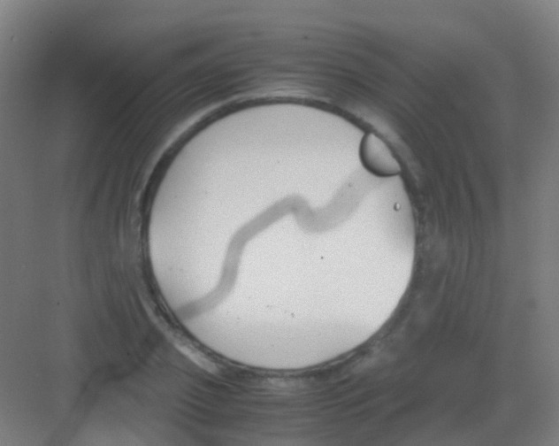 X0000081370933200702082342