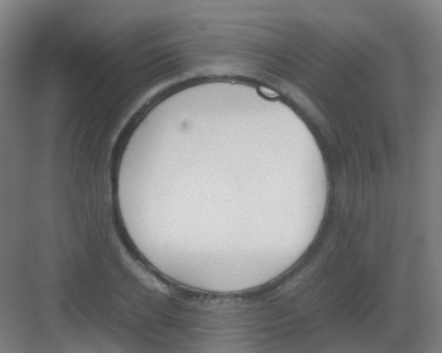 X0000081370934200702082342