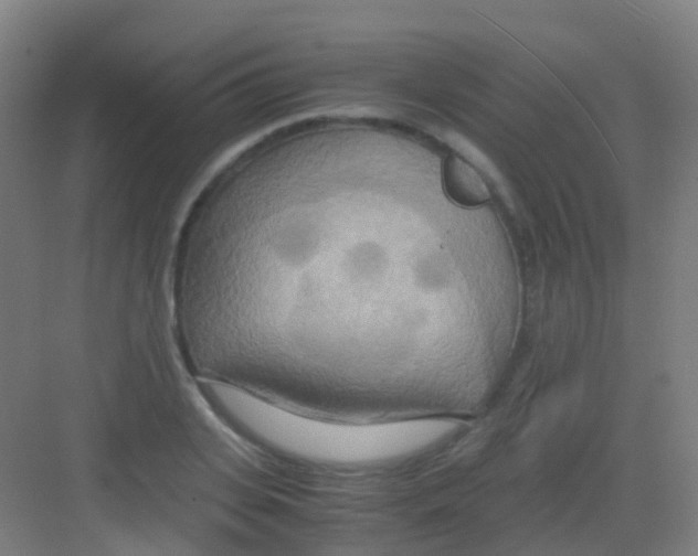 X0000081370935200702082342