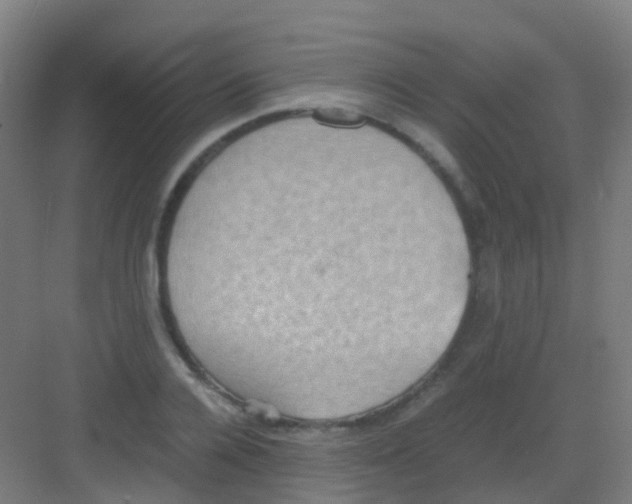 X0000081370936200702082342