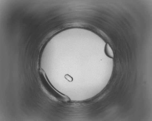 X0000081370938200702082342