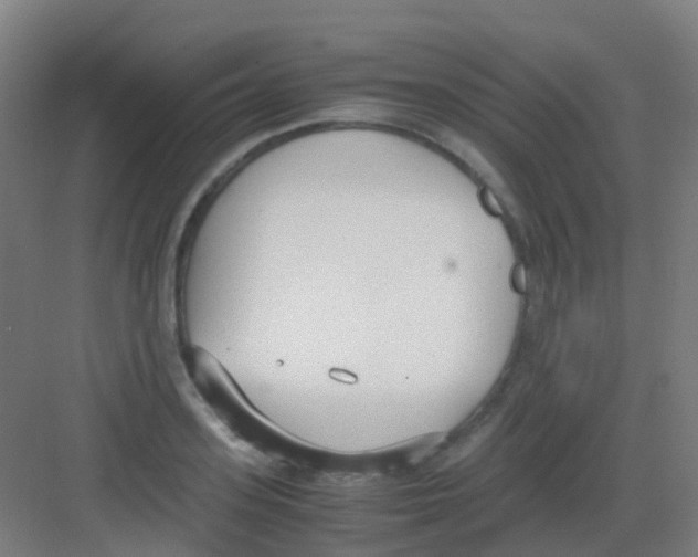 X0000081370939200702082342